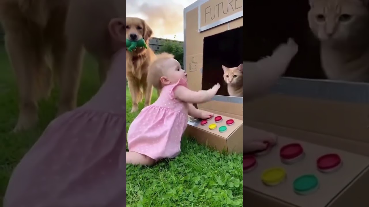 Baby Runs "Airport Security" Check on Her Dog & Cat! (Cute Compilation) ✈️👮‍♀️