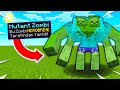 Zel moblar le kapiiyorum sonu hi iyi bitmedi  minecraft