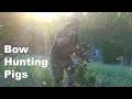 Stalking Destructive Pigs On Our Ranch {Catch And Cook} Bow Hunting