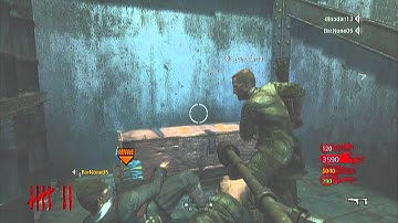 World At War - Der riese 3 Weapon Glitch