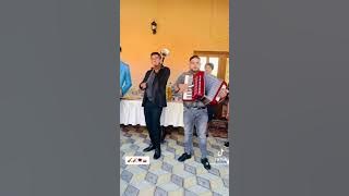 Miti și Miti Junior