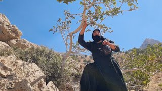  raftan betol bah ko ve avardan enjir baraye darest kardan tarshi