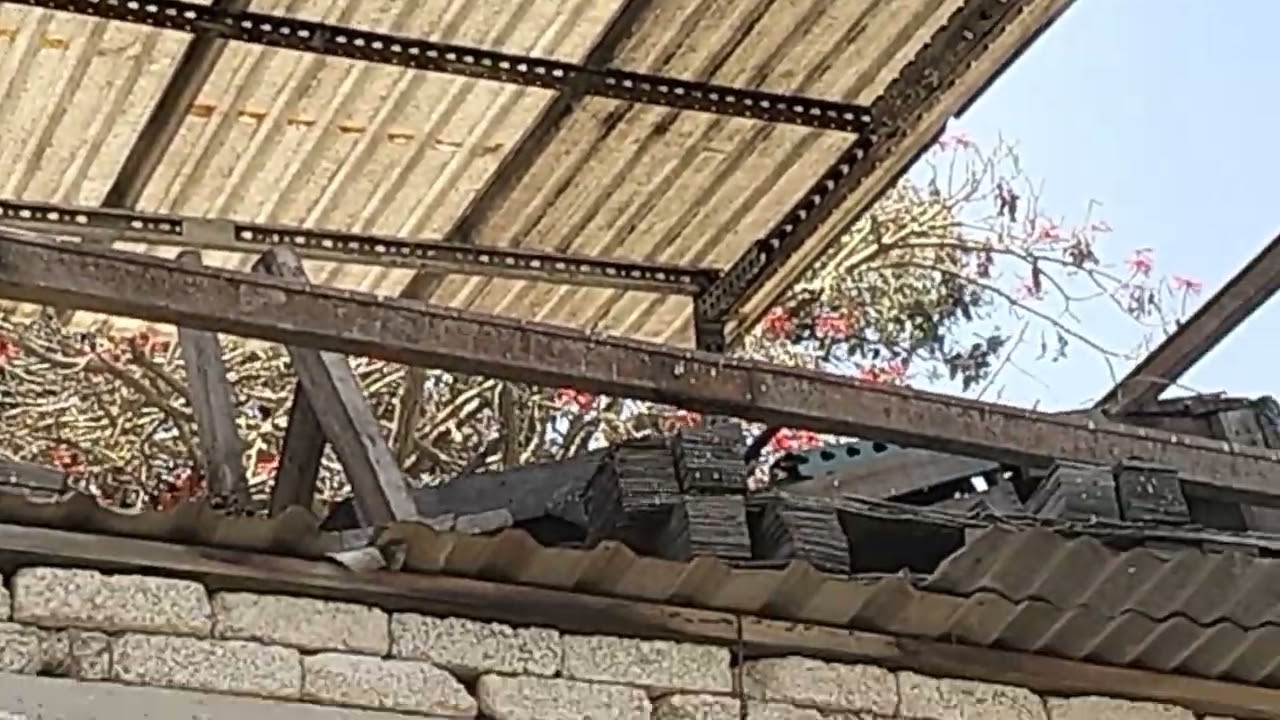 Estructura Feria Amit México 🇲🇽