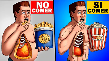 ¿Cuáles son los 12 alimentos que puedes comer sin engordar?