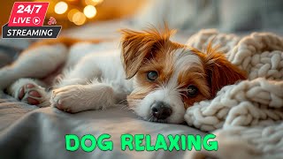 DOG TV: 12 Hours to Calm Your Dogs🐕 Anti Anxiety & Boredom Busting Video with Music for Dog