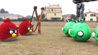 Angry Birds Real Life