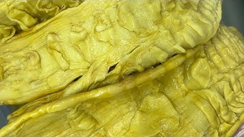 Cách Sử Lý Sạch Măng Khô Hết Phẩm Màu và Chất Bảo Quản, Luộc Nhanh, Mềm Giòn.