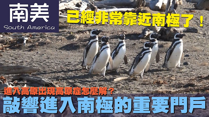 【南美 South America】进入高原出现高原症怎么解？敲响进入南极的重要门户｜企鹅｜印加帝国｜智利 - 天天要闻
