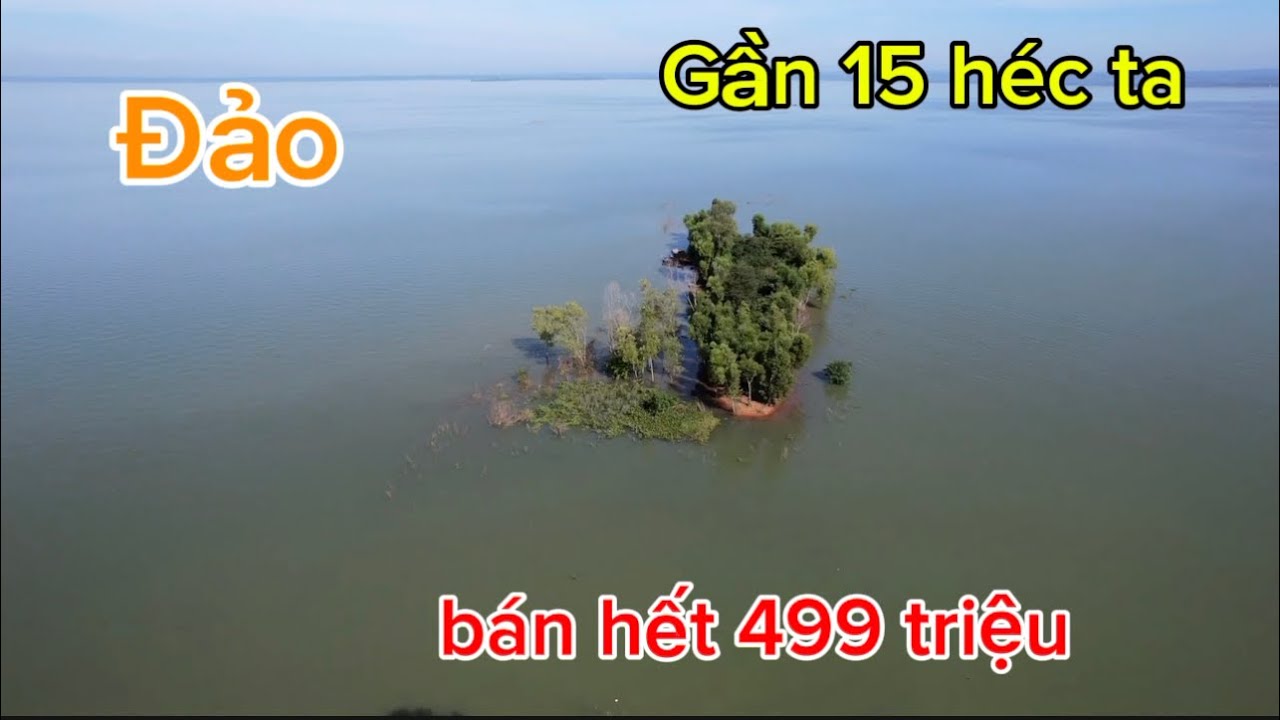 15 héc đảo độc lập cảnh đẹp thiên nhiên giá bán chỉ 499 triệu đất đồng Nai 