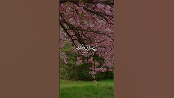 تلاوة هادئة تريح الأعصاب 😴🎧 القارئ: شريف مصطفى سورة: المزمل 💙❤