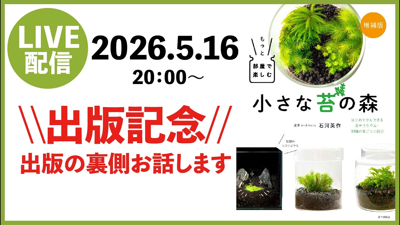\\出版記念//「もっと部屋で楽しむ小さな苔の森」裏話