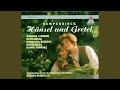 Miniature de la vidéo de la chanson Hänsel Und Gretel: Akt Iii, Szene I. “Mir Ist So Wohl, Ich Weiß Nicht Wie!” (Hänsel, Gretel)