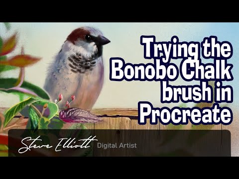 bonobo chalk procreate free