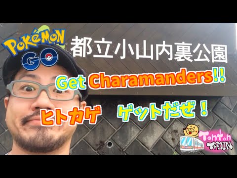 Get Charmanders Oyama Dairi Park Tokyo Japan 小山内裏公園でヒトカゲ狩り 都立小山内裏公園 Youtube Get Charmanders Oyama Dairi Park Tokyo Japan 小山内裏公園でヒトカゲ狩り 都立小山内裏公園 Youtube