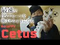 【BETAFPV Cetus】最速でFPVドローンを飛ばせるようになるセット【Banggood】