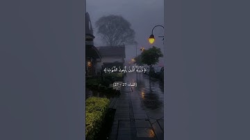 والله يريد ان يتوب عليكم || القارئ احمد النفيس || لا تنسوني من دعواتكم || #قران_كريم