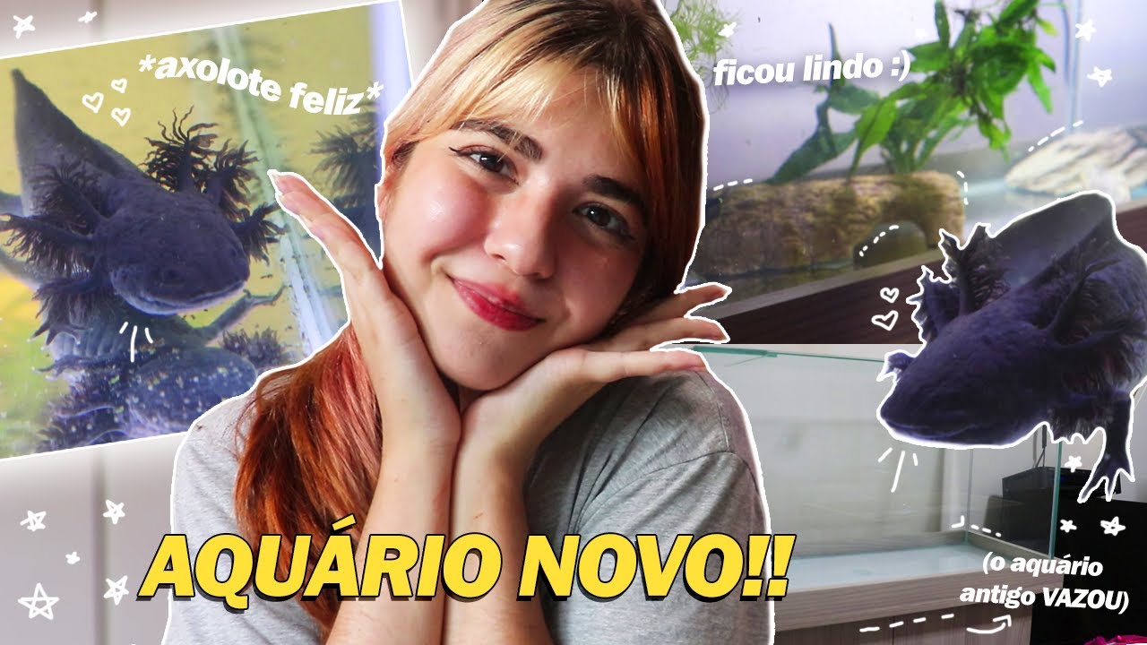 MEU AXOLOTE GANHOU UM AQUÁRIO NOVO!! *decorando a casinha nova da Nessie*