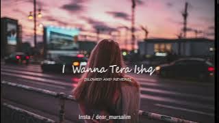 I Wanna Tera Ishq   (SLOWED AND REVERB)