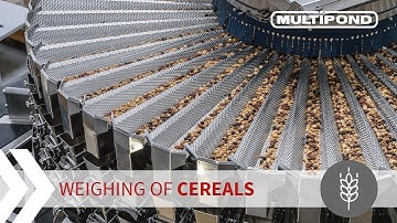 Weighing of cereals | 48 head weigher | MULTIPOND