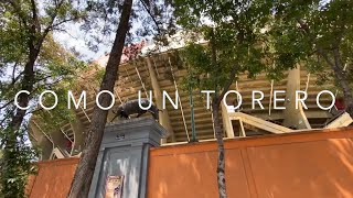 Video thumbnail of "Como Un Torero - Marx Emmanuel - Letra: Jose Maria"