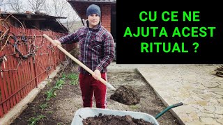 DE CE SE PUNE CENUȘĂ ÎN GRĂDINĂ?