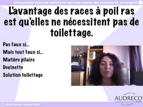 Vidéo: Chat ne peut pas arrêter démangeaisons? Ce peut être des allergies alimentaires