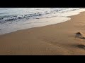 Ocean waves5 hrs
