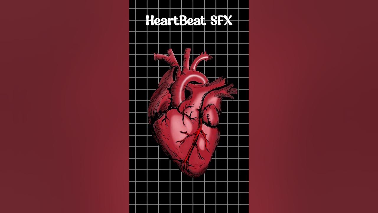 Heartbeat SFX | Heartbeat ASMR | Realistic Heartbeat Sound Effect | High-Quality SFX Heartbeat SFX | Heartbeat ASMR | Realistic Heartbeat Sound Effect | High-Quality SFX