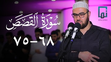 سورة القصص (٦٨-٧٥) #یحیی_الشيخاني  ‏#YahyaALshaikhani