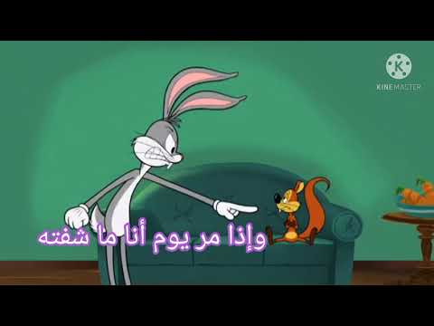 حالة جديدة كلمات الأغنيه بلقيس