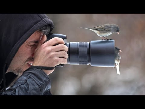 Чемпионат по фотоохоте на птиц прошел в Беларуси