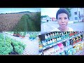 Come with Me : Plant Shopping/Am Searching for Hoe In Obodo oyibo🙄🙄|  Nigeria Mum Living In Italy