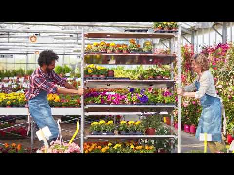How and why to produce your own short training videos: For Greenhouse Growers