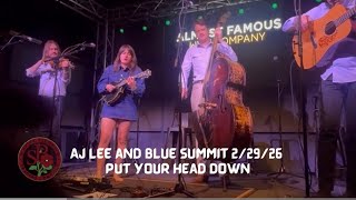 AJ Lee and Blue Summit December 29 Livermore, California