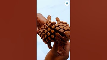 3D Printed flexi pangolin #3Dprinting #3dprinted