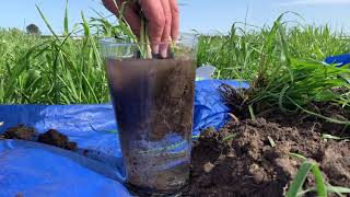 How to: DIY mini soil visual assessment
