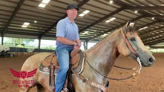 Helping Your Horse Feel Comfortable With Your Cues  Trevor Brazile