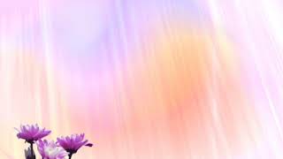 Футаж розово-феолетовый фон с цветами