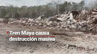 El Tren Maya es una devastación total ¿Y a qué costo?