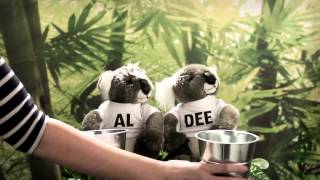 Aldi's Ice Bucket Challenge