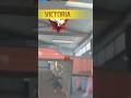 Editviral N3 Rogaso N3 FREFIRE рџ рџ рџ рџ рџ рџЌ рџ ї Editviral N3 Rogaso N3 FREFIRE рџ рџ рџ рџ рџ рџЌ рџ ї