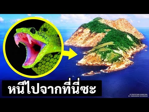 วีดีโอ: เกาะสูงเกิดขึ้นได้อย่างไร?