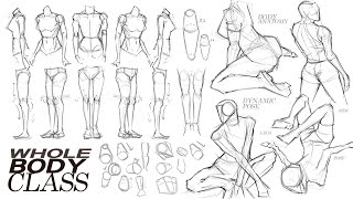 🙌🏻 BODY ANATOMY POSE CLASS [ 