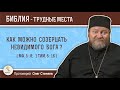 Как можно созерцать Невидимого Бога (Мф. 5:8; 1Тим. 6:16)?  Протоиерей Олег Стеняев