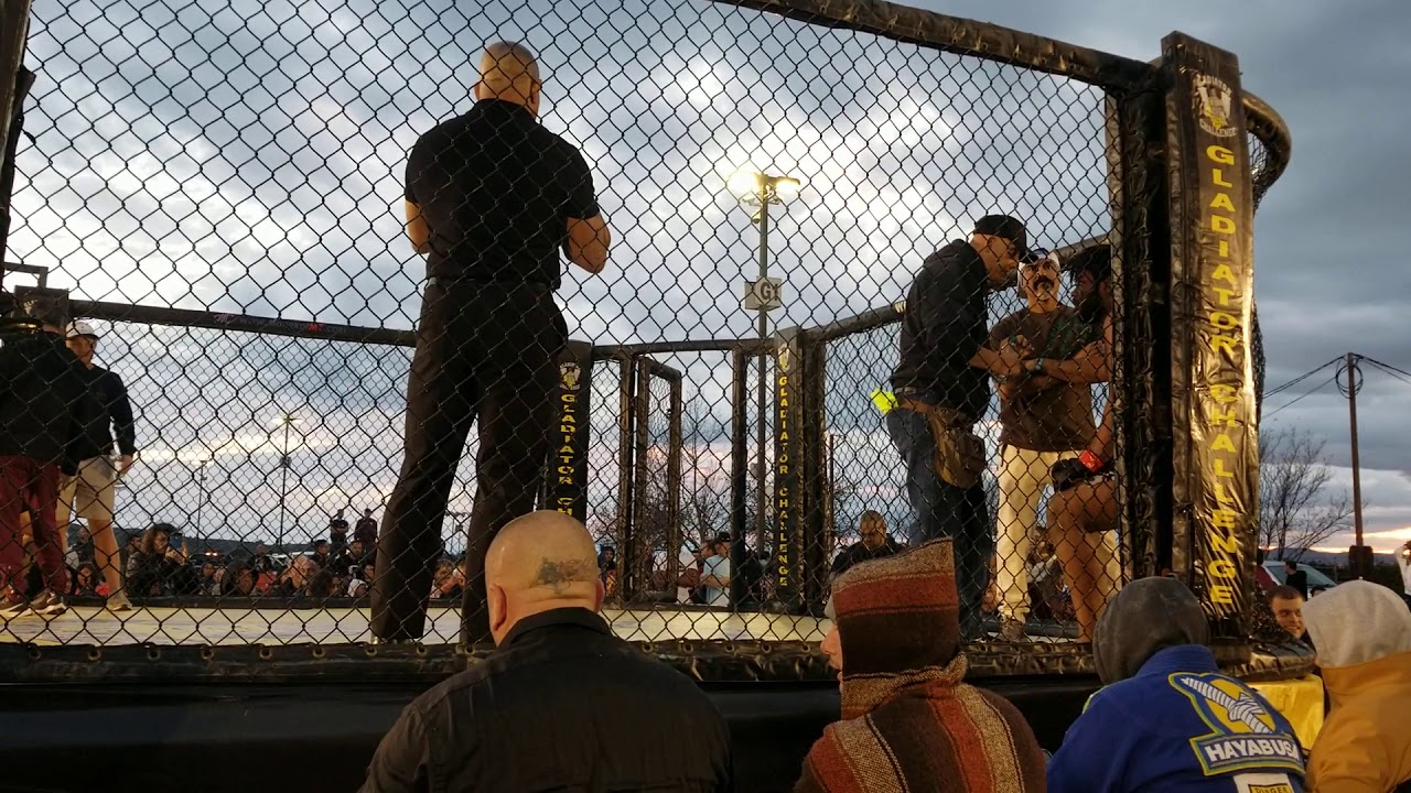 Josh the Lion Presents Sun vs. Everett Cummings