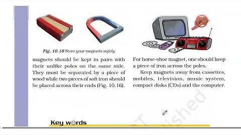 Fun With Magnets Q/A Solved  | NCERT Class 6 Science Chapter 13 Exercise Solutions With Explanation