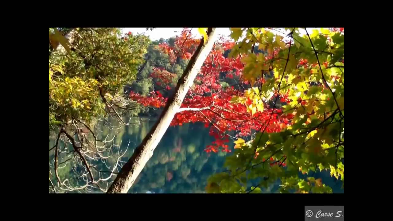 Round Lake, NY - YouTube
