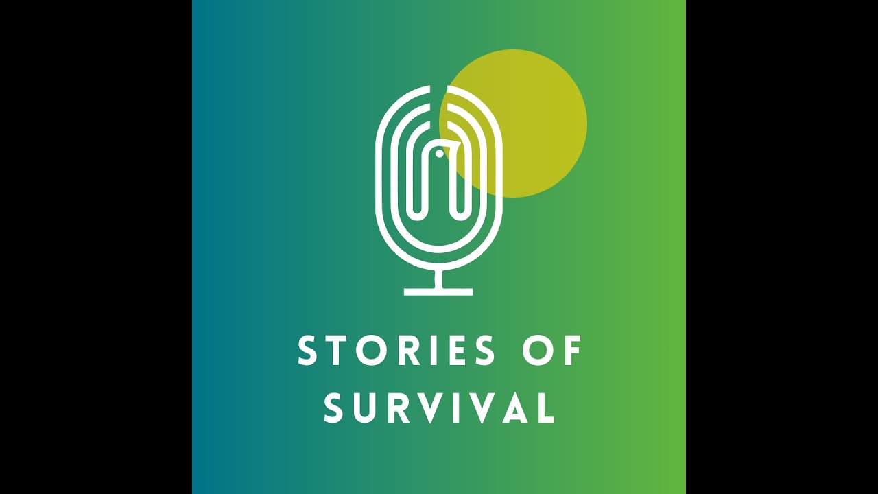 EP3 The 800 Yen Butterfly   Taiwan Papilio maraho 2