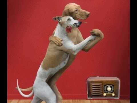 DE PASO   MAYO MES DE LA RADIO Y MAS