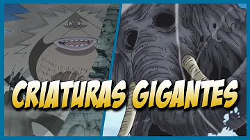 ¿Quién es el humano más grande de One Piece?